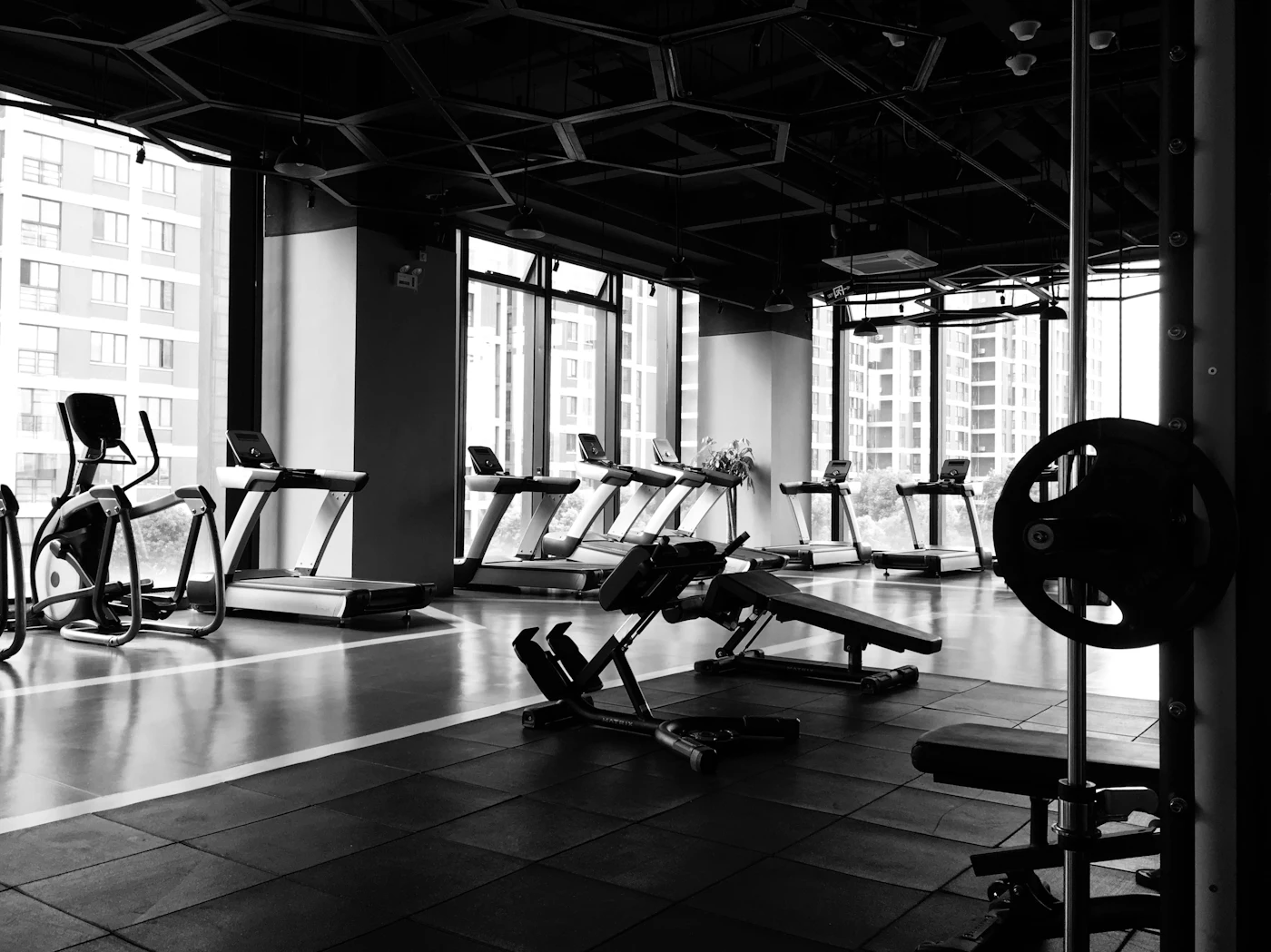 Dumbbells racked in a row by a tall window looking out to the green meadow