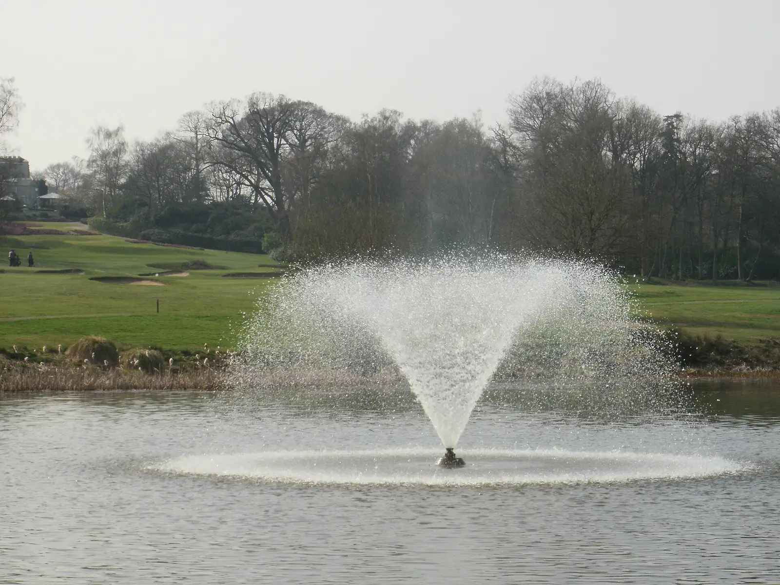 The pond at the fifteenth, its fountain playing, the quarry green beyond