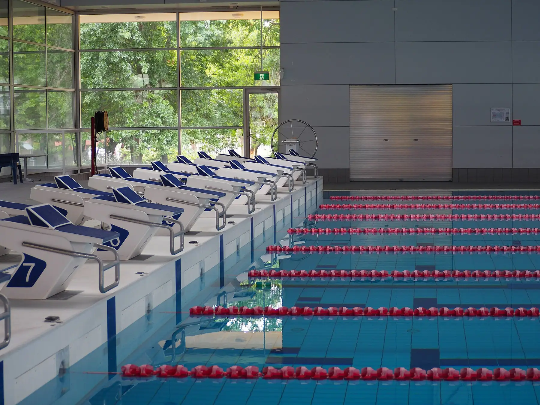 The saline lap pool beneath its glass roof, lanes set for the six o'clock masters' swim